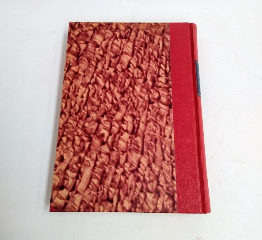 Libro Fisica - Ruggero