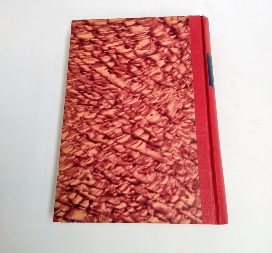 Libro Zoologia e botanica