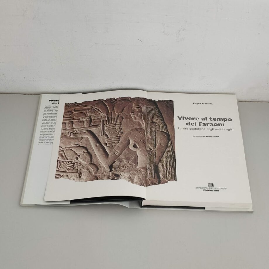 Libro Vivere al Tempo dei Faraoni: vita quotidiana egizi