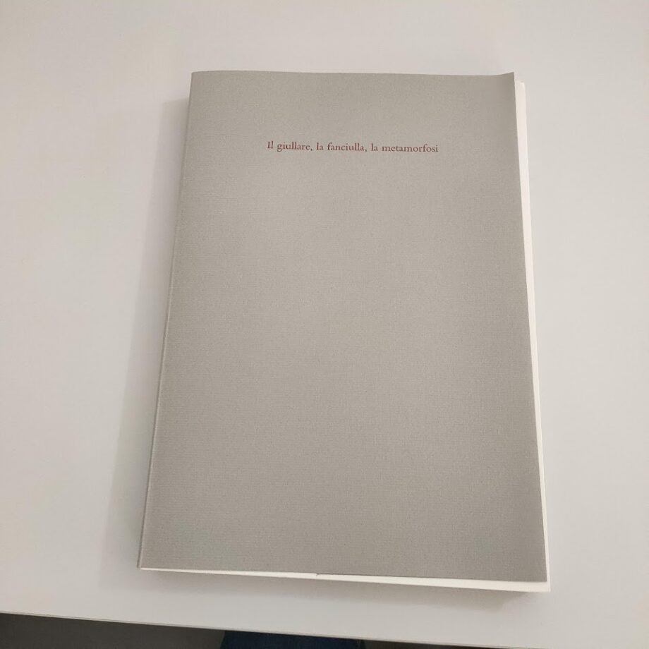 Libro Giullare, Fanciulla, Metamorfosi Rossella Cardinale