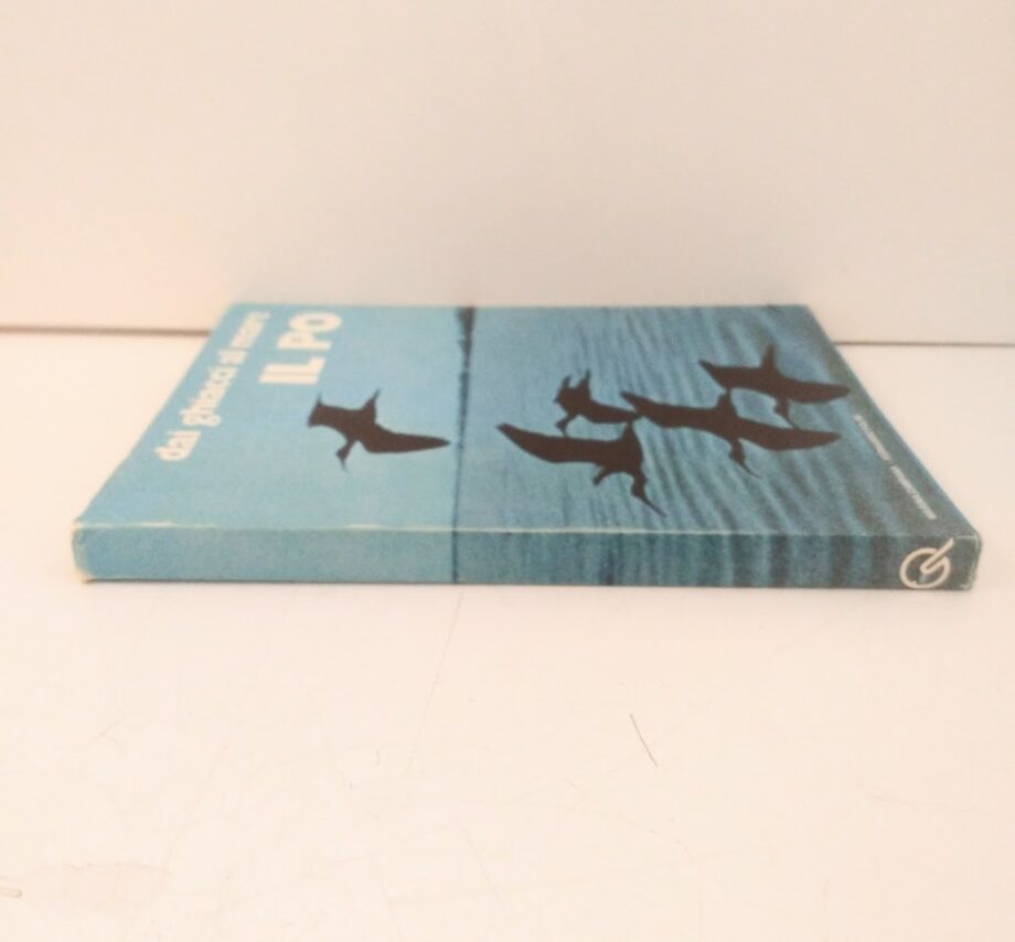 Libro IL PO Dai ghiacci al mare Marina Campana