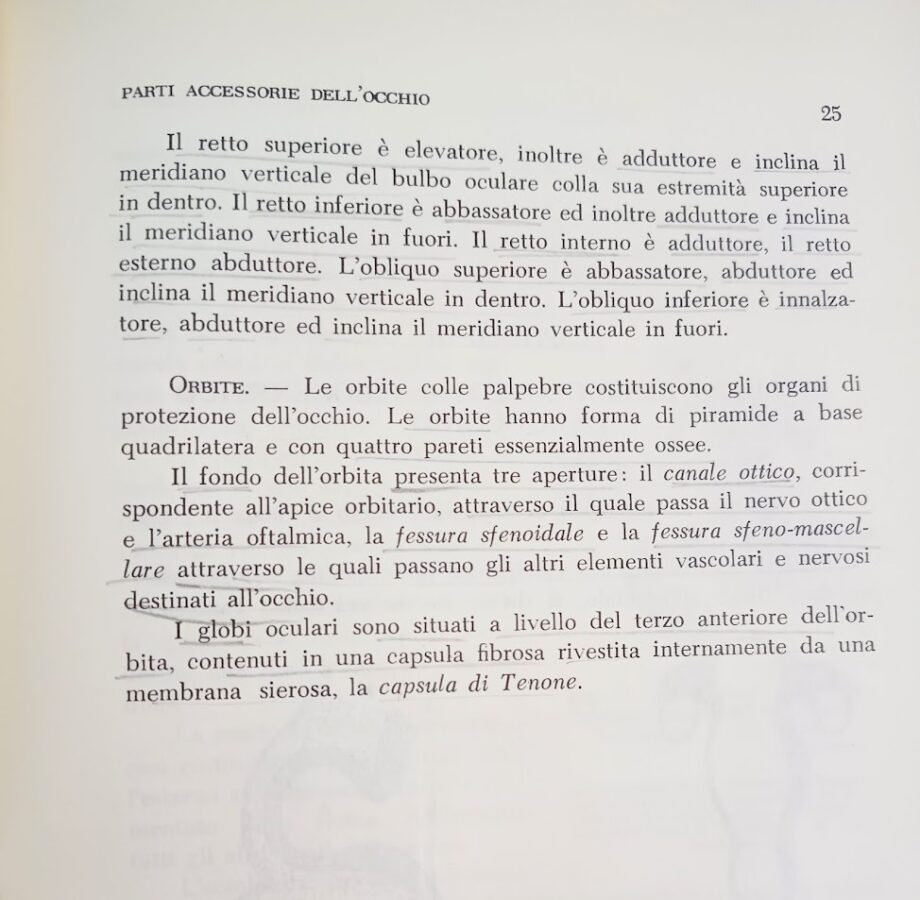 Libro Manuale di Oculistica Cattano