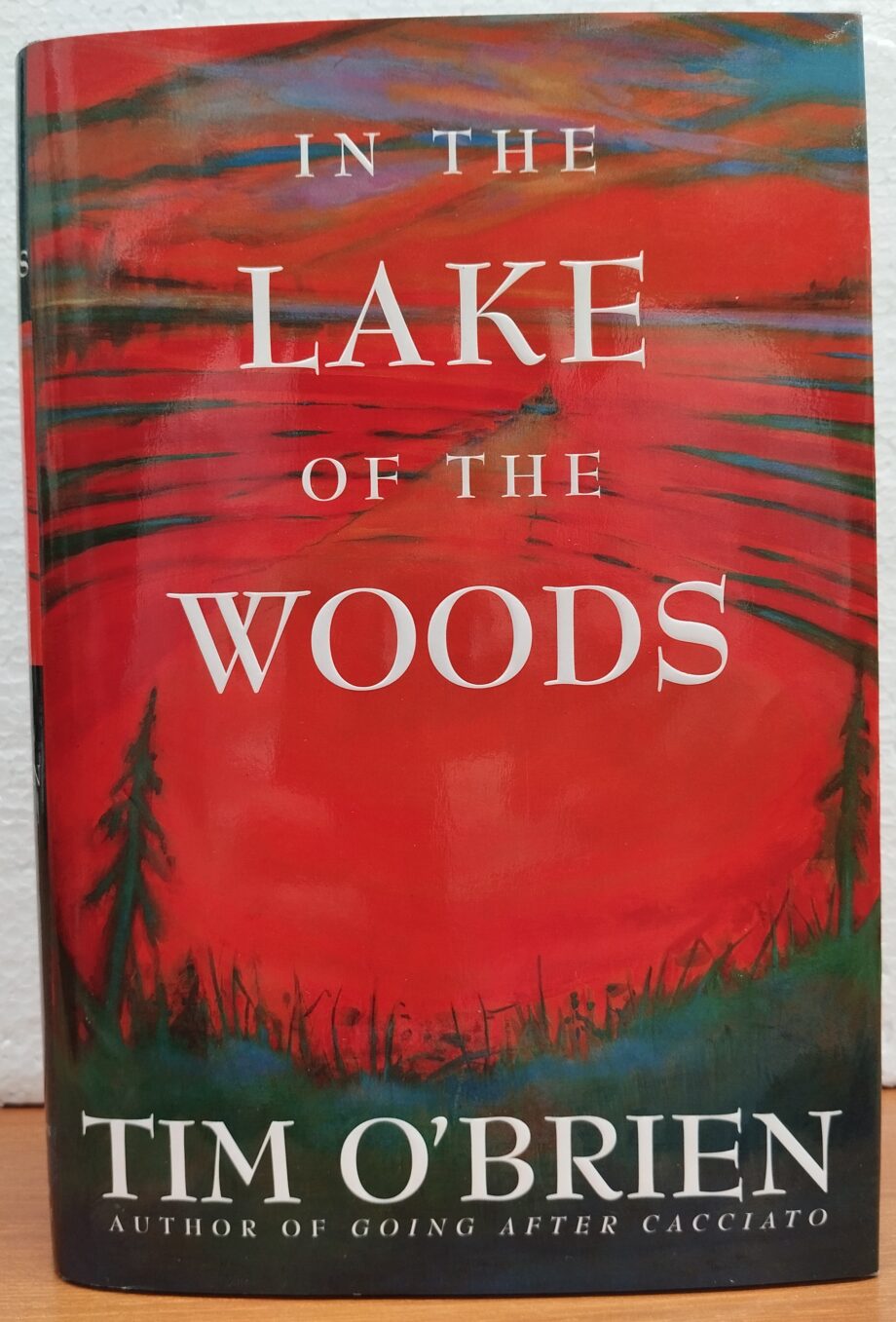 libro in the Lake of the Woods di Tim O'Brien
