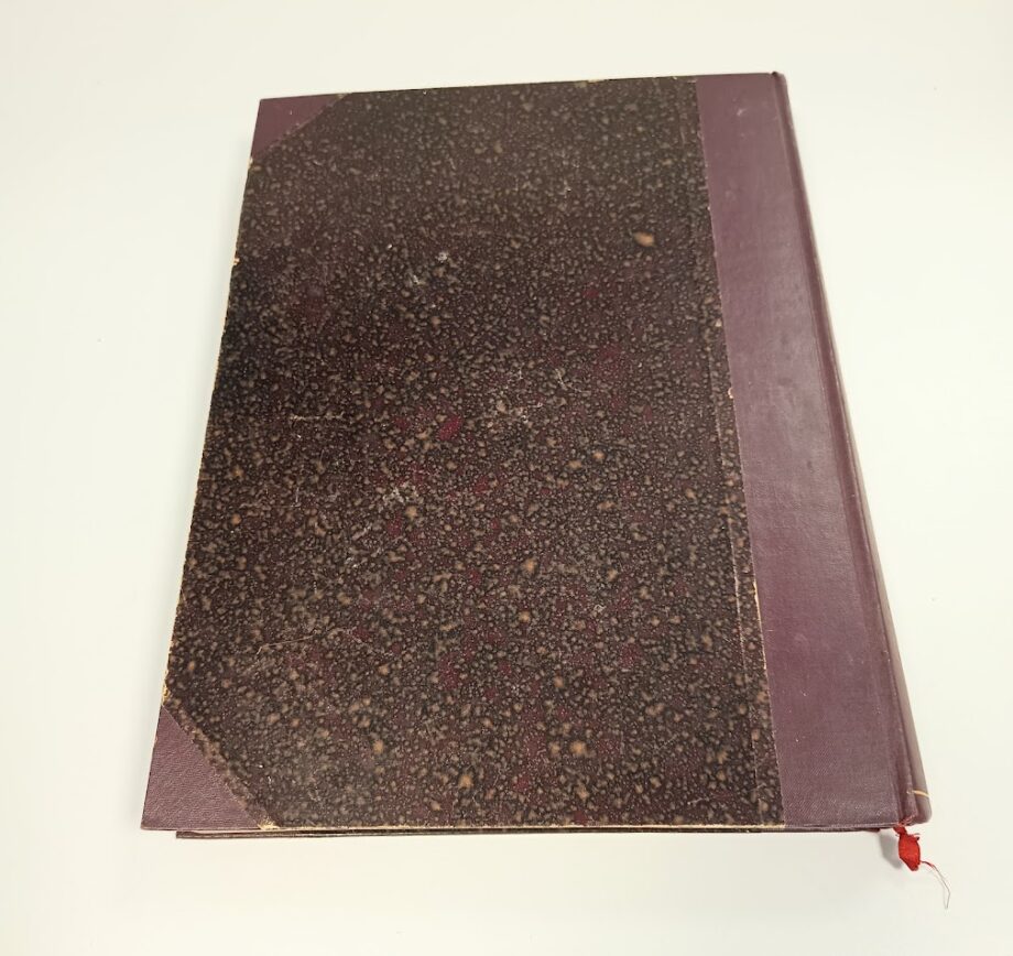 Libro vita di Giuseppe Mazzini Edoardo Sonzogno 1886