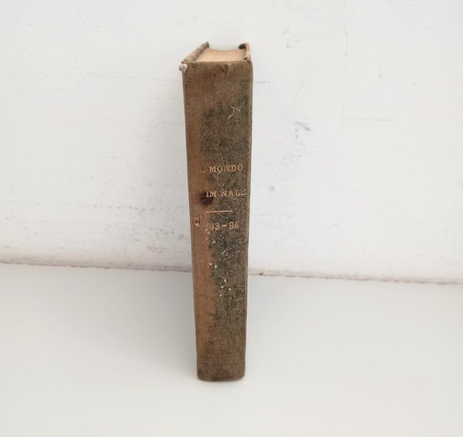 Libro Il mondo criminale 1893-94 L. Omodei Zorini 1894