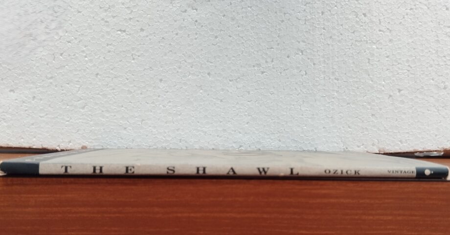 Libro the Shawl di Cynthia Ozick del 1990