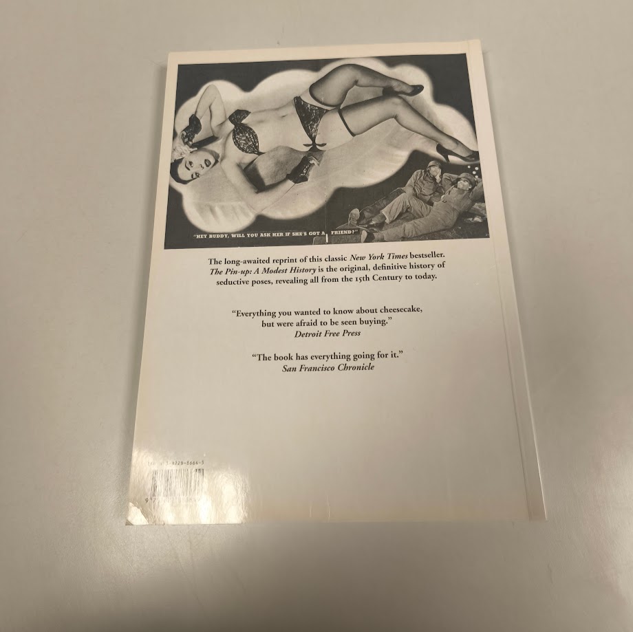 Libro The Pin-up A modest history by Mark Gabor anno 1996