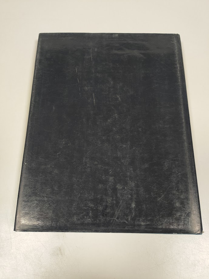 Libro Nel Cuore di Varese 1982