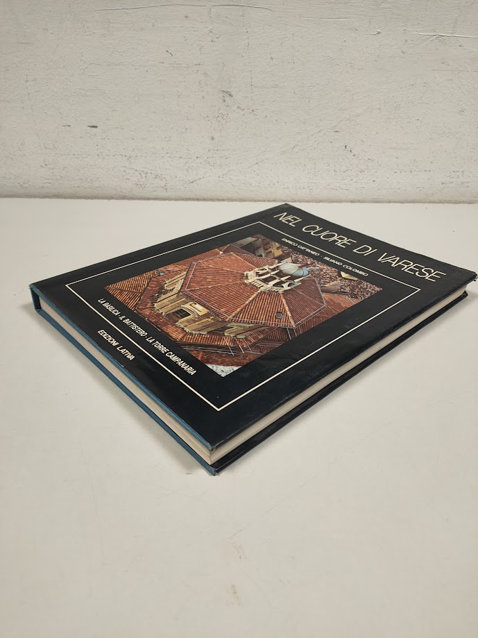 Libro Nel Cuore di Varese 1982