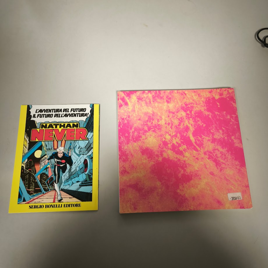 Fumetto Enzo Linari Nathan Never dimensione futuro + Decameronever Bonelli editore