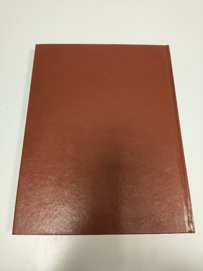 Libro Le Copertine della Domenica Volume 5 1919-1923 Anno 1976