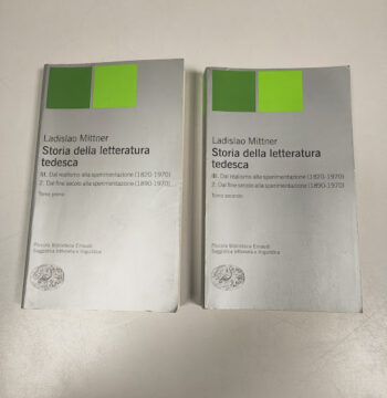 Libri 2 Volumi Storia della Letteratura Tedesca 2002