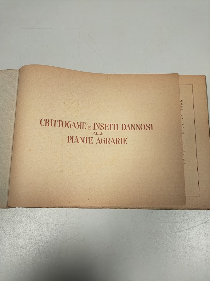 Libro Crittogame e Insetti Dannosi alle Piante Agrarie 1929
