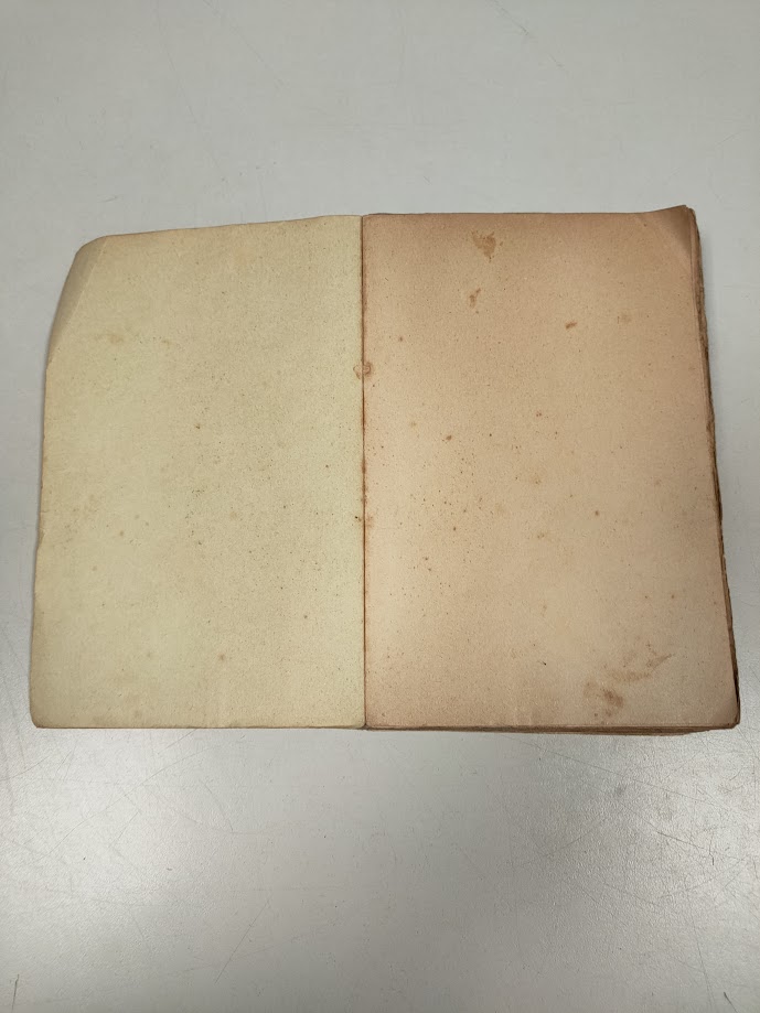 Libro I Romanzi del Melagrano. IL FUOCO. Gabriele D'Annunzio 1916