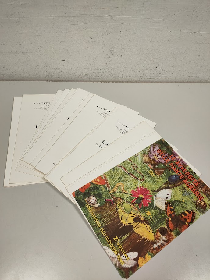 Libro Le Avversità delle Piante Agrarie Volume 2 1960