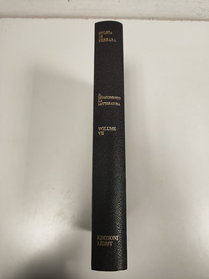 Libro Storia di Ferrara. Il Rinascimeto La Letteratura Volume 3 1994