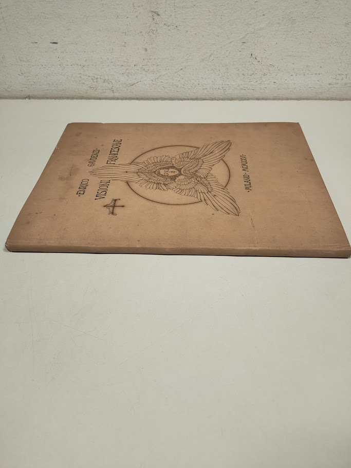 Libro Visioni Francescane Enrico Gavdenzi MCMXXVI (1926)