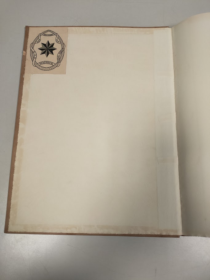 Libro Visioni Francescane Enrico Gavdenzi MCMXXVI (1926)