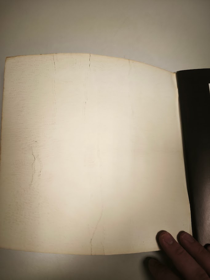 Libro Dylan Dog Glamour international production