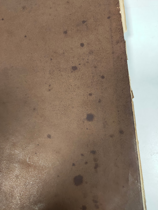 Libro Il Cemento Armato Luigi Santarella Volume III 1936