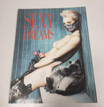 Fumetto SEXY DREAMS Raccolta di Disegni Bizzarri e Fantasiosi di Arte Erotica 1998