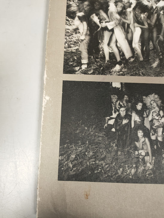 Libro Sogno di una Notte D'Estate Teatro Dell'Elfo 1981