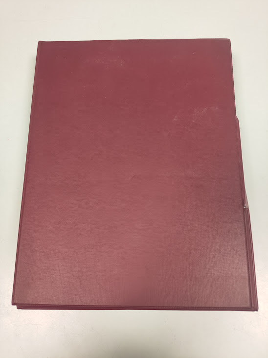 Cofanetto Contenente Plastici in Rilievo delle Regioni D'Italia Vintage Anno 1966