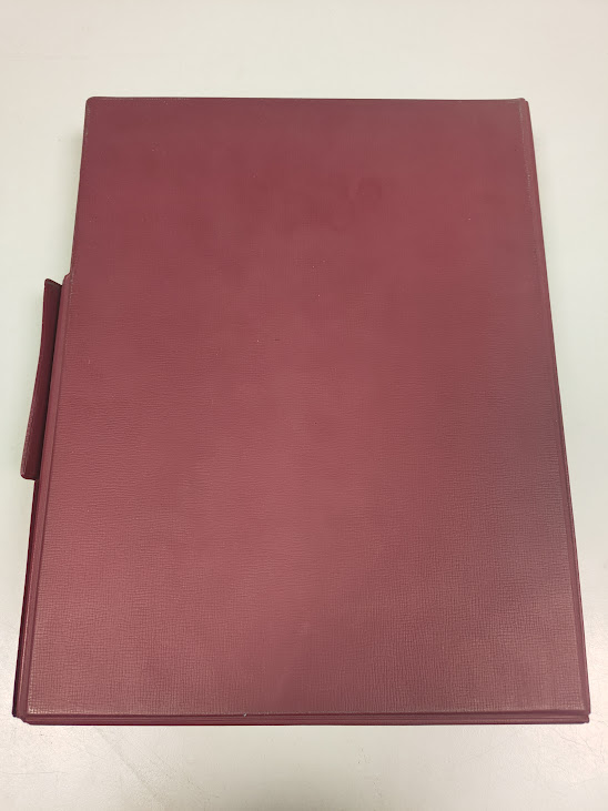 Cofanetto Contenente Plastici in Rilievo delle Regioni D'Italia Vintage Anno 1966