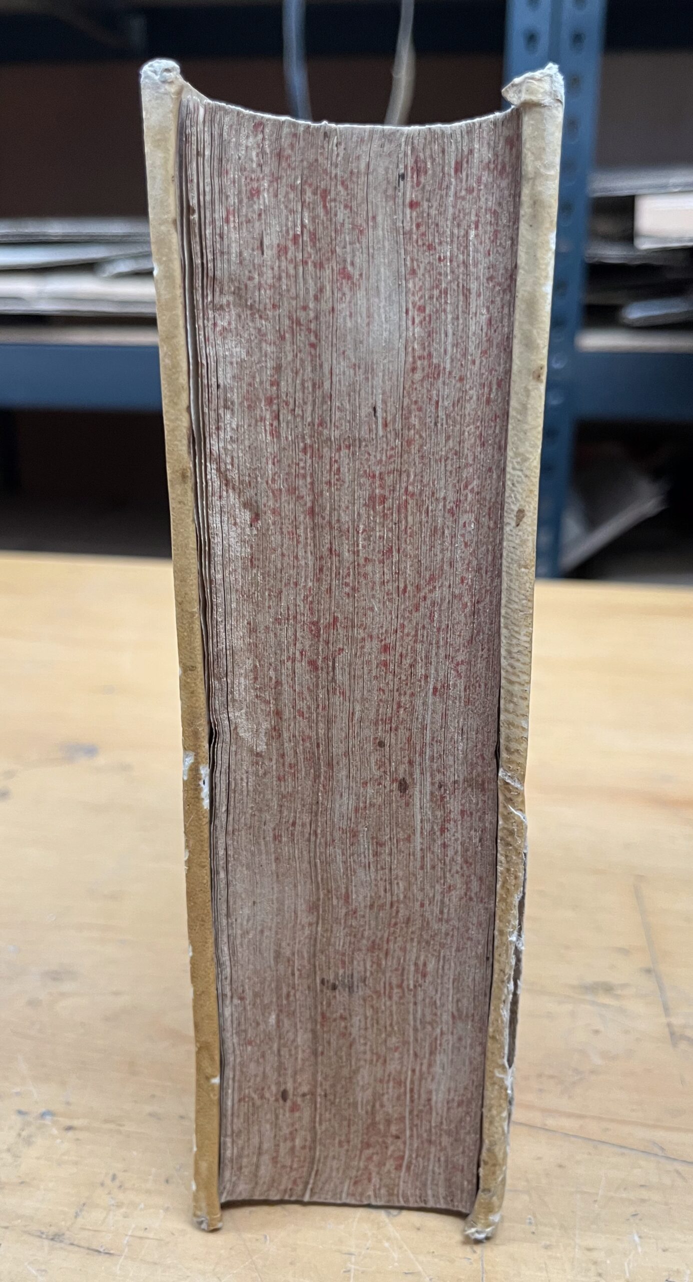 Libro "Biblia Sacra Vulgatae Editionis" - Edizione 1750 (Venetiis, MDCCL)