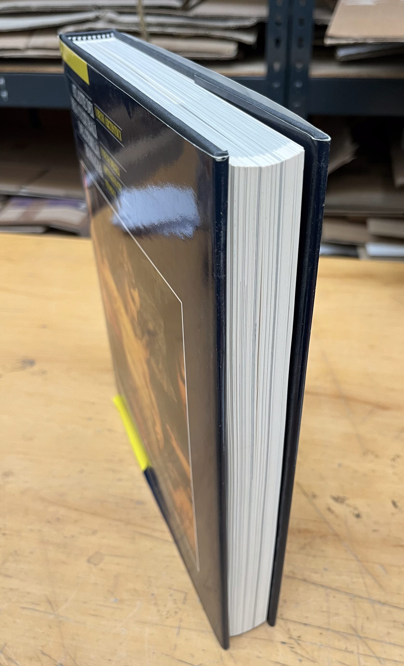 Libro "Atlante dei Beni Culturali dell'Emilia Romagna" Beni Artistici - Volume Primo