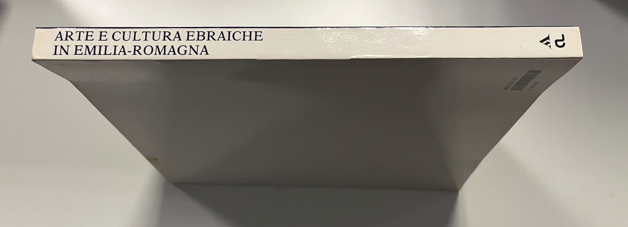 Libro "Arte e Cultura Ebraiche in Emilia-Romagna" - Mondadori - De Luca - 1989
