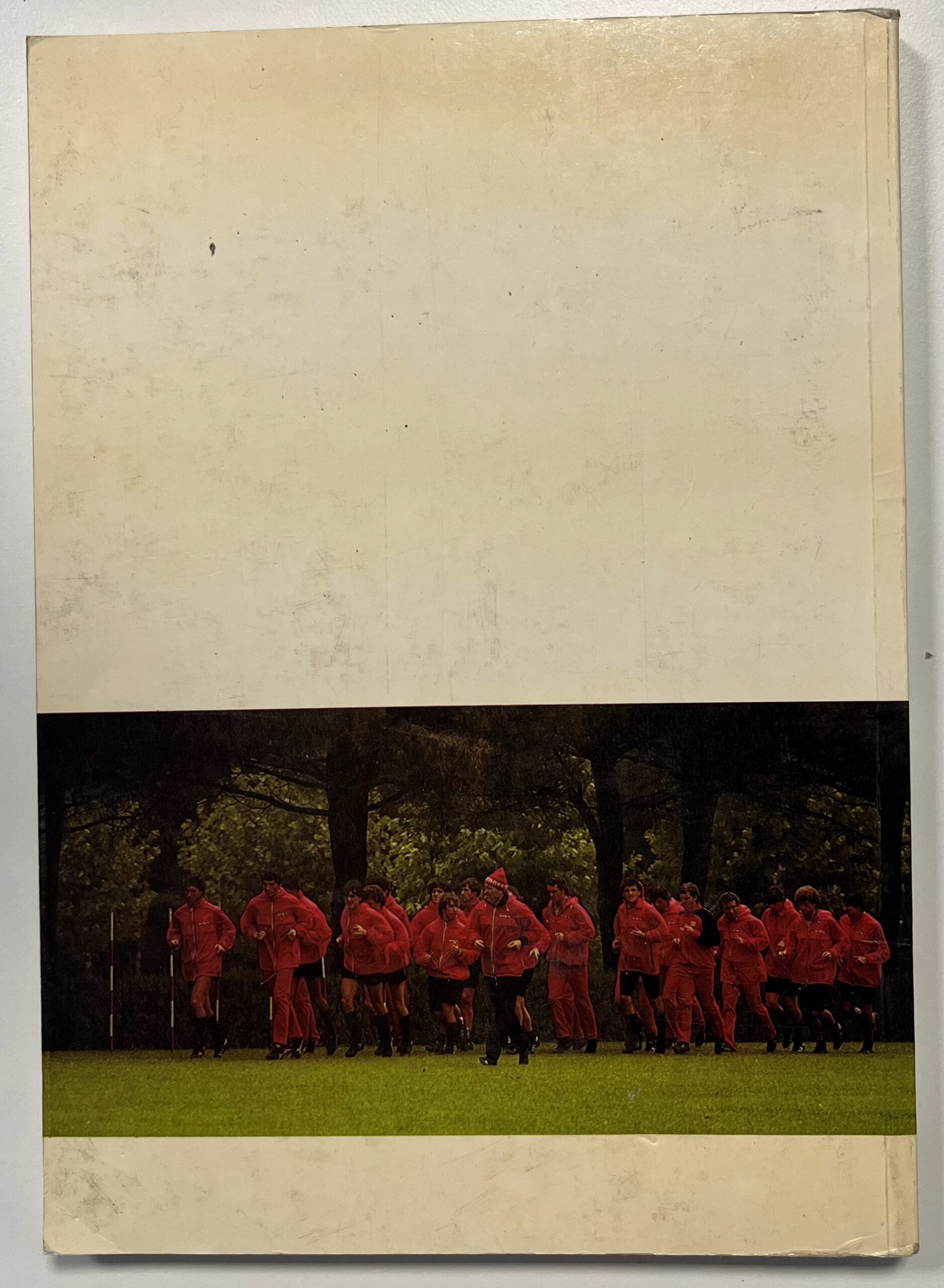 Libro "Milan, perché? Fatti e misfatti del "Diavolo" finito all'Inferno" - Alberto Costa - Gruppo Editoriale Jackson 1982