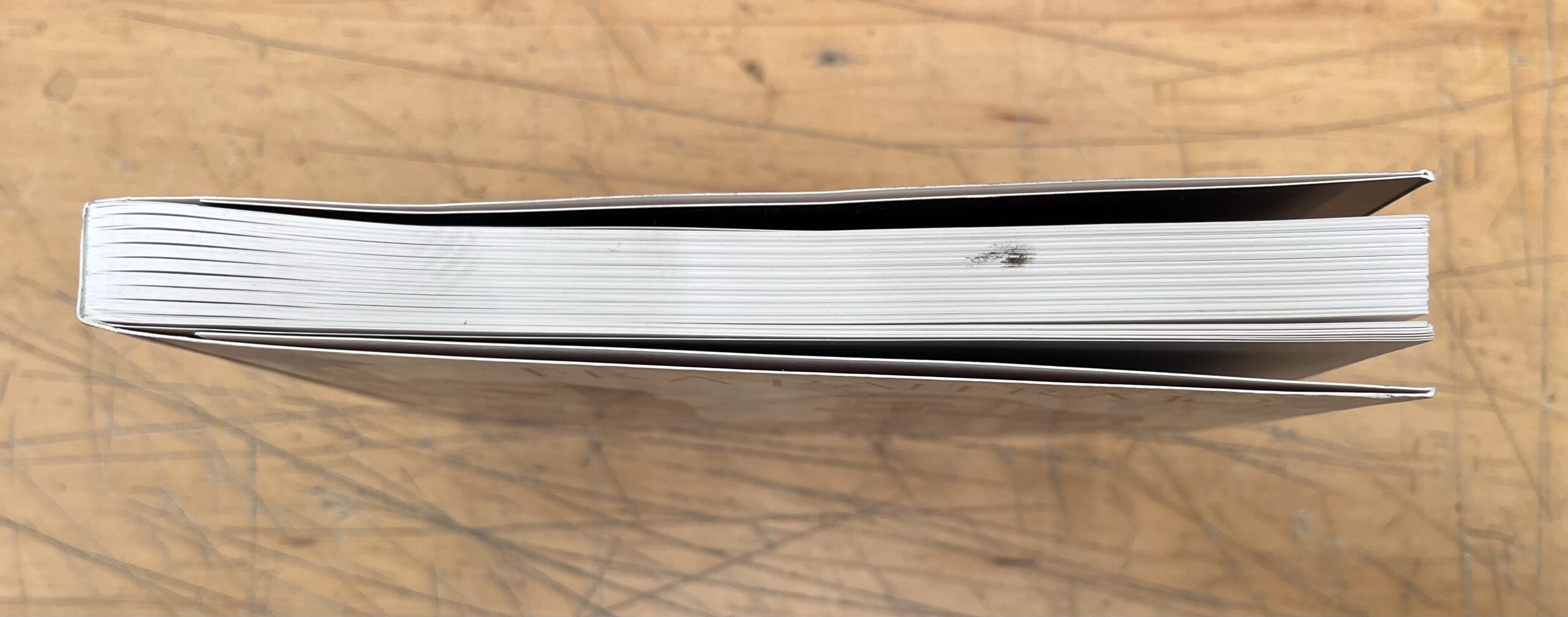 Libro "Era Palermo - Immagini e Collezionismo" - Vincenzo Mirisola - Lanterna Magica Edizioni 2008