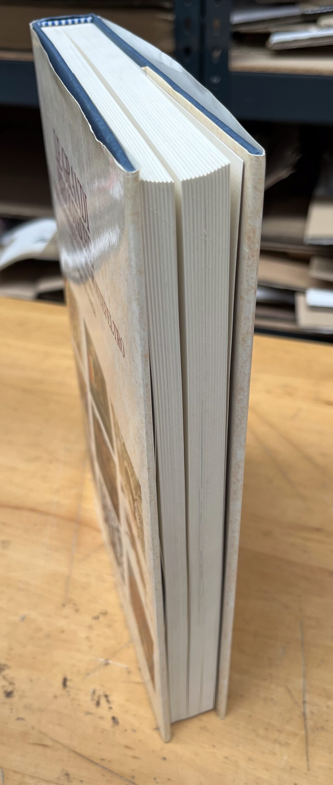 Libro "Le Grandi Biblioteche dell'Emilia-Romagna e del Montefeltro - I Tesori di Carta" - Banca Popolare di Milano - Grafis Edizioni 1991