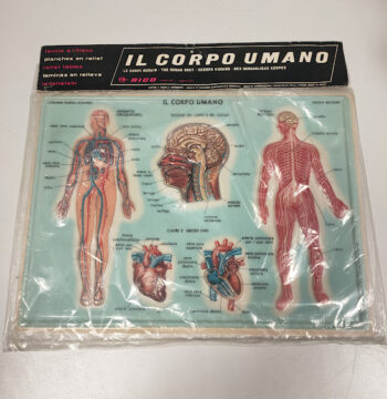 Plastico in Rilievo "Il Corpo Umano-Rico" Vintage Anni '60