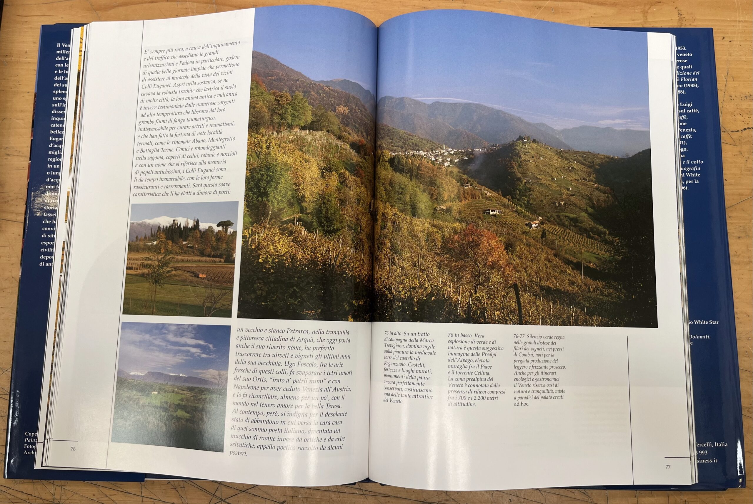 Libro "Veneto - Incantevole Paradiso dell'Arte" - Danilo Reato - Edizioni White Star 1999