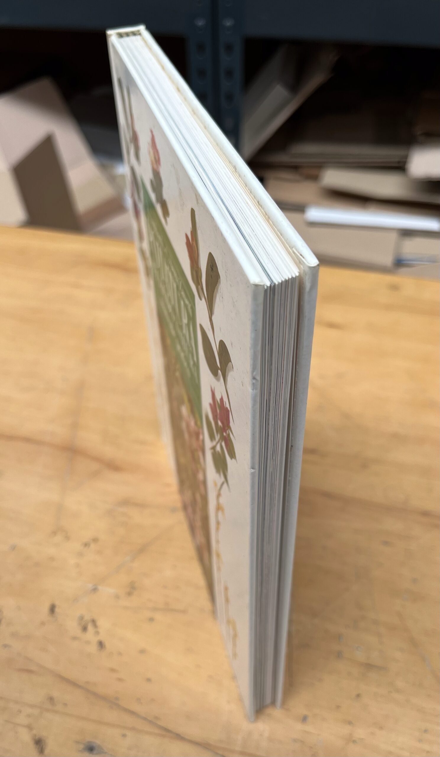 Libro "Potatura secondo natura - Manuale pratico" di M. Lombardi e C. Serra Zanetti - Euroclub I Edizione 1997