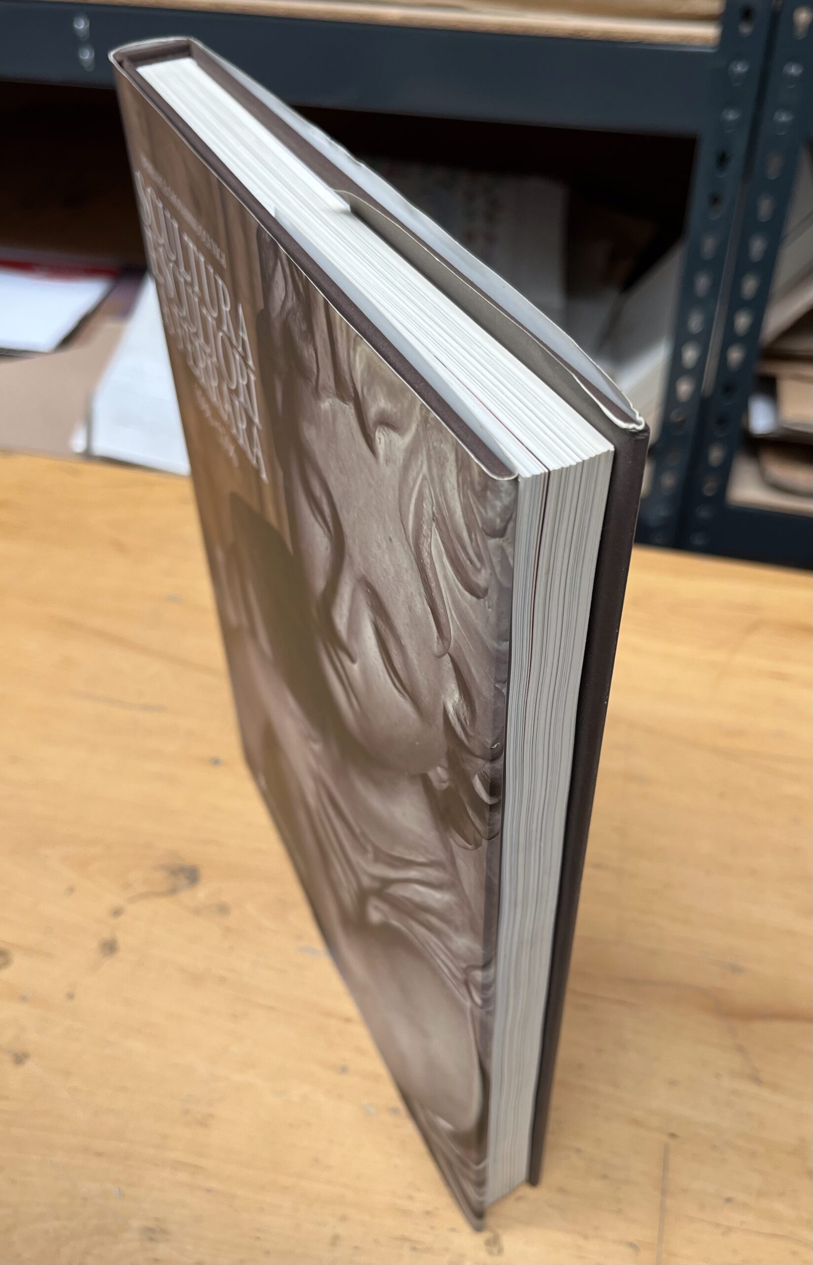 Libro "Scultura e Scultori a Ferrara - 1598-1796" di Berenice Giovannucci Vigi - Carife - Motta Editore - Prima Edizione 2004