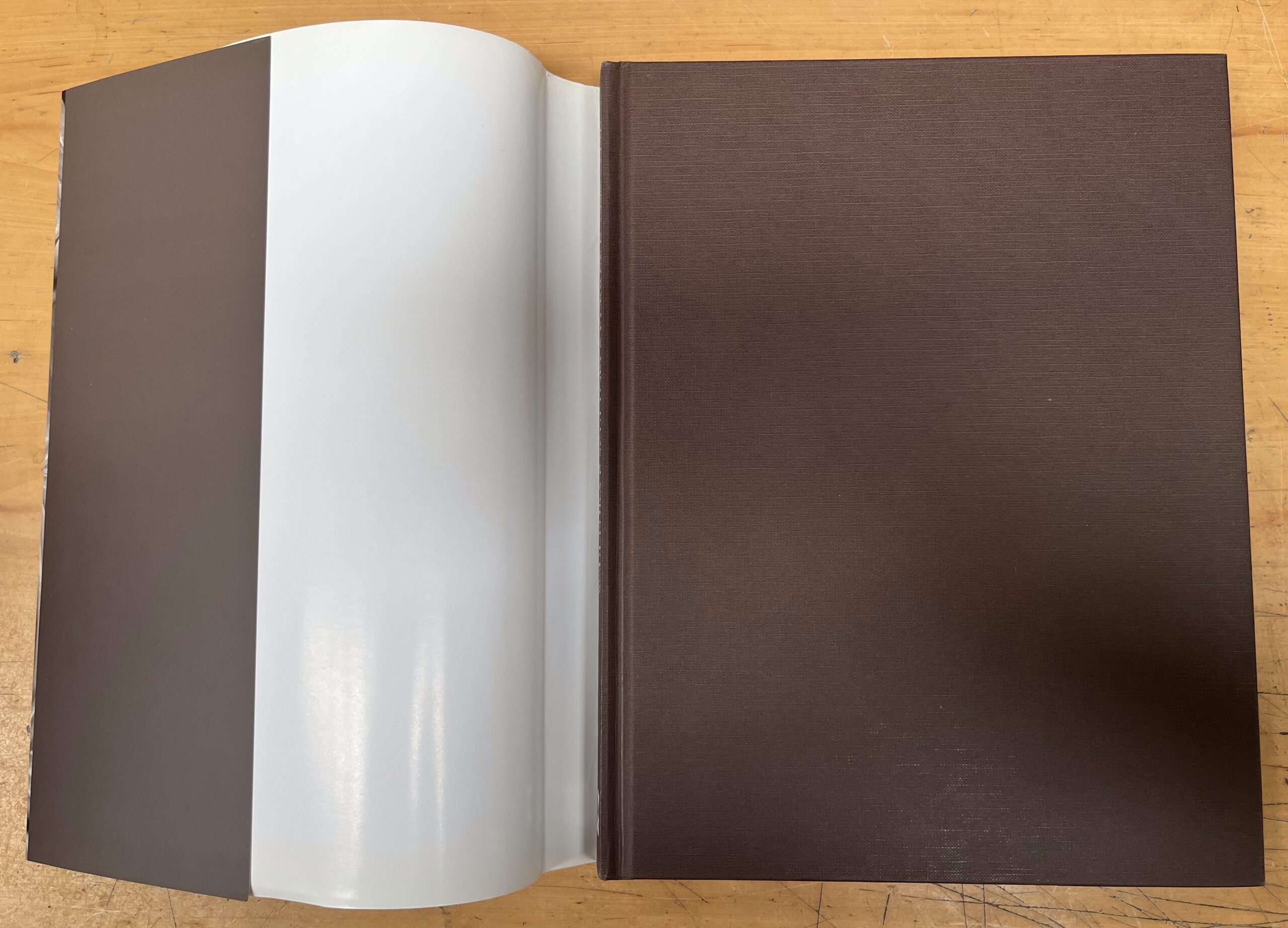 Libro "Scultura e Scultori a Ferrara - 1598-1796" di Berenice Giovannucci Vigi - Carife - Motta Editore - Prima Edizione 2004