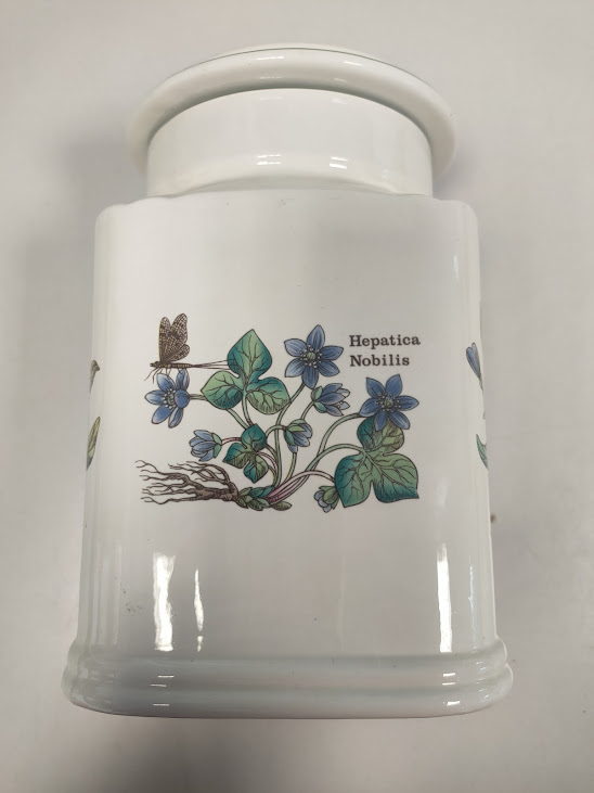 Barattolo in Ceramica Portmeirion Botanic Garden Vintage Anni '70