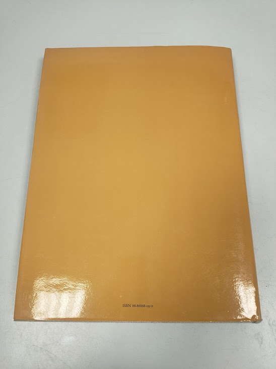 Libro Artisti Centesi del Cinquecento Prisco Bagni (MCMXCVI) 1996