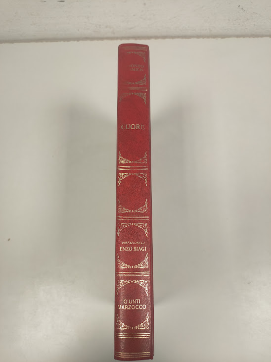 Libro CUORE Edmondo de Amicis Giunti Marzocco 1993
