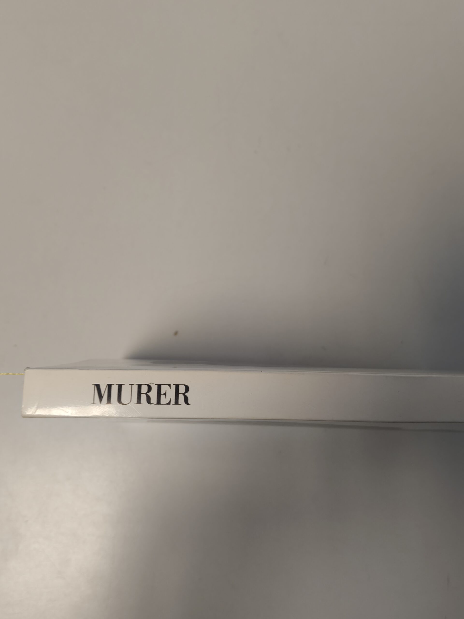 Murer - Galleria Arte Moderna, Ferrara